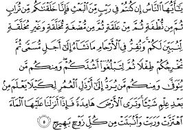 Tanpa berjisim yang pada kebiasaannya tidak dapat dilihat oleh mata atau dirasa dengan tangan. Say Hafiz Al Quran Air Sebagai Sumber Kehidupan 32 Ayat
