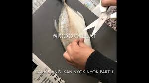 Ikan bawal juga merupakan jenis ikan pemakan. Cara Siang Ikan Nyok Nyok Youtube