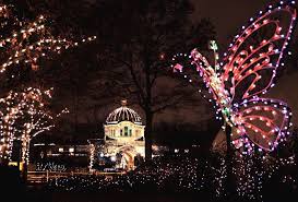 Holiday Lights Return To The Bronx Zoo Mommy Poppins Things To Do With Kids Zoo Lights Bronx Zoo Holiday Lights