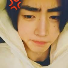 JESSICA LANDEROS (jlanderos245)