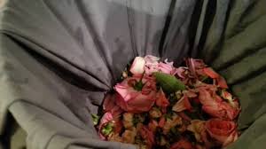 As long as you can tolerate gluten, this clay is safe to eat—it probably just won't taste good. How To Dry Rose Petals In The Oven Youtube