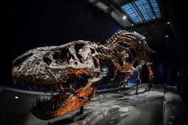 Jump to navigation jump to search. T Rex Snarls At Visitors To Paris Botanical Garden