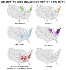 Tiny Ticks Big Threat American Veterinary Medical Association