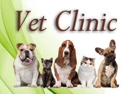 Every clinic location has a licensed veterinarian on site. Low Cost Vet Clinic At Wells Brotherswells Brothers Pet Lawn Garden Supply