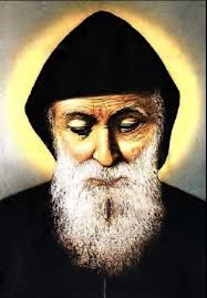 Declan Peterson (@declan_peterson)