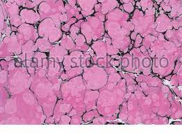 Abstract rose wallpaper for poster, flyer design.vector realistic marble texture. Handmade Pink And Black Marble Background Design Stock Photo Alamy