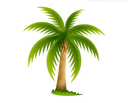 Download free palm tree vector and use any clip art,coloring,png graphics in your website, document or presentation. Cartoon Vector Palm Tree Png Novocom Top