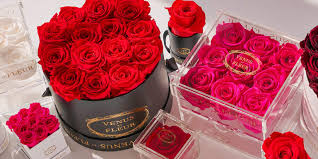 While flowers make a nice gift for holidays or romantic occasions, they typically only last for a few days. 12 Best Flower Delivery Services For Every Occassion 2021