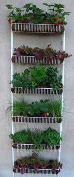 Vertical Gardening Plant A Kitchen Spice Rack Vertical Vegetable Gardens Vertical Vegetable Garden Design Vegetable Garden Design