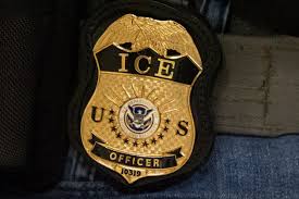 ICE surges officers into New York City in new operation: Sources