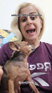 Pitbull X pinscher #jujuepituca #humor #meme #comedian #dogs #pets#pitbull