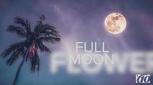 No moon tonight is a world war ii autobiographical book by halifax/lancaster/wellington bomber navigator don charlwood. Full Flower Supermoon What Is It When Is It Wtsp Com