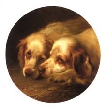 Alpine Spaniel Spaniel Puppies Pets Puppies
