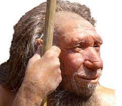 Migliaia di nuove immagini di alta qualità aggiunte ogni giorno. L Uomo Di Neanderthal Aveva Un Linguaggio Complesso Biotech Scienza Tecnica Ansa It
