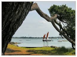 Larmor Baden Bretagne Bateaux Morbihan