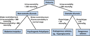 Image result for Polyuria