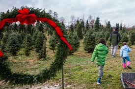We did not find results for: Get Your Christmas Tree At These Farms Or With A Delivery Service