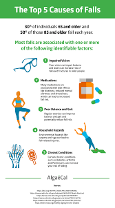 The Top 5 Causes Of Falls Health Prevention Osteoporosis Fall Prevention Fall Prevention Elderly Prevention