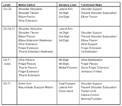 Brachial Plexus Injury Google Search Physical Therapy