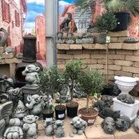 Wenn sie ihr zu hause naturnah gestalten wollen, sind sie hier. Dehner Garten Center Am Kalkwerk 5