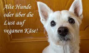 Alte Hunde Oder Uber Die Lust Auf Veganen Kase