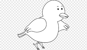 Christine panjaitan — burung burung putih. Burung Ayam Merpati Hitam Putih Domestik Garis Terbang Burung Putih Tangan Galliformes Png Pngwing