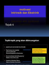Terlepas dari motivasi ekstrinsik maupun intrinsik, ada juga yang dikenal dengan motivasi negatif. 6 Motivasi Intrinsik Dan Ekstrinsik