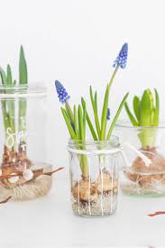 Möchten sie sich dekoideen für den frühling anschauen? Fruhlingsdeko Im Glas Dekoidee Mit Blumen