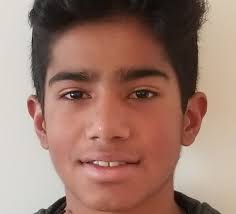 Meet the Lansing area boys tennis Dream Team and all-area