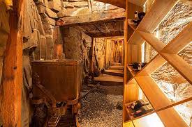 Oprah Winfrey S New Home In Telluride Colorado Mountain Living Colorado Homes Home Wine Cellars Celebrity Houses
