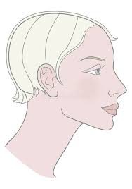 Fille Avec Une Coupe De Cheveux Courte Et Un Beau Crâne Descripteur  Illustration Stock