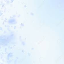 Flower light blue sky blue background. Light Blue Flower Petals Falling Down Attractive Romantic Flowers Gradient Flying Petal On Blue Sky Square Background Love Romance Concept Captivating Wedding Invitation Royalty Free Cliparts Vectors And Stock Illustration Image 132917819