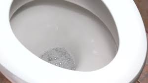 How To Clean A Toilet With Coke Cleaning With Coke Cleaning Mold Diy Mould Removal