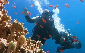 رئيس جمعية الاستثمار السياحى بالبحر الأحمر عودة السياحة الروسية لمصر قريبا صورة أرشيفية Photo Views Signup