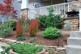 Folge deiner leidenschaft bei ebay! Dwarf Weeping Norway Spruce Front Yard Ideas Houzz