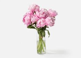 We did not find results for: Peonies Bouquet Near Me