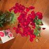 Browse flowers prices, photos and 95 reviews, with a rating of 5.0 out of 5. Top 938 Avas Flowers Reviews Page 14