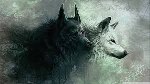 We did not find results for: Wolves Wallpaper Wolf White Black Animals Fantasy Art Hd Wallpaper Wallpaperbetter