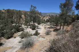 Check spelling or type a new query. Kern River Campgrounds Campsite Photos Campground Info