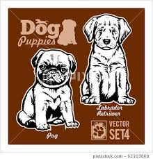 Read more pug pic 10 80 px 10 80 px / куликівка відзначила день незалежності україни пробігом під державним прапором — вікіновини. Pug And Labrador Retriever Dog Puppies Vector Set Funny Dogs Puppy Pet Characters Different Breads Doggy Illustration Isolated On Dark Stock Images Page Everypixel