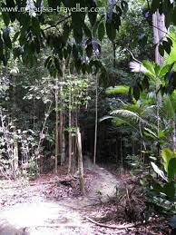 Gasten zijn het ermee eens: Hiking Ayer Hitam Forest Reserve Puchong Hill Selangor Malaysia