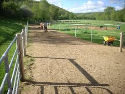 Paddock Paradise Hippie Geek Farm Art Paddock Paradise Dream Horse Barns Paddock Trail