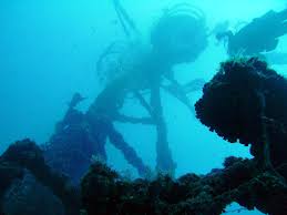 Wreck diving