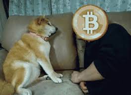 Find funny gifs, cute gifs, reaction gifs and more. Download Dogecoin Gif Png Gif Base