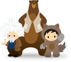 Salesforce World Tour Paris 8 Juin 2017 Paris Expo Porte De Versailles Salesforce France Porte De Versailles Portes Paris
