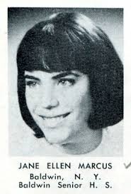 Mountain View Online