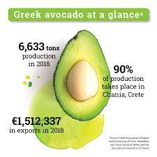 Avocados are a favorite of the produce section. Greek Avocado 4 7 Growth In One Year Greek Food News