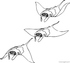 Below are some free printable manta ray coloring pages in vector format. Three Manta Rays Coloring Page Coloringall