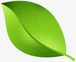 Green Leaf Texture Painted Leaf Clipart Hand Painted Leaves Green Leaves Png Transparent Clipart Image And Psd File For Free Download Painted Leaves Leaf Texture Clip Art