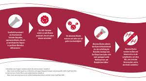 Akute Myeloische Leukamie Astellas Pharma Gmbh